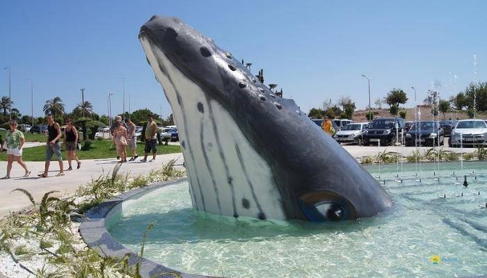 Какая температура воды должна быть в аквариуме для нормального существования рыбок и растений?